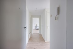 F08 0707STM Auriollaan92.jpg